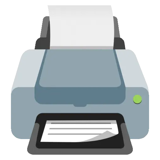 🖨️